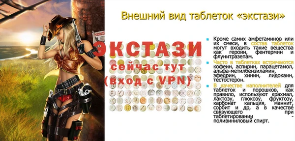 мдпв Богородицк
