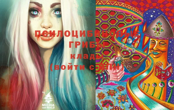 молекула духа Богородск