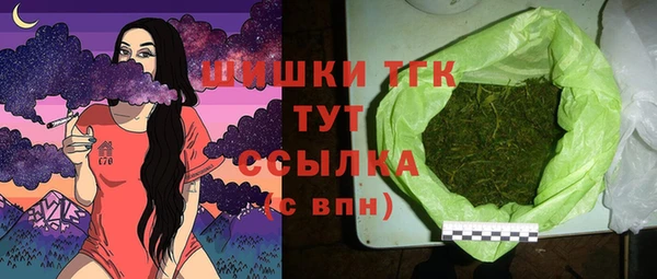 молекула духа Богородск