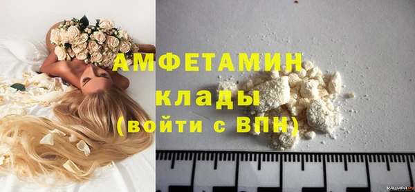 молекула духа Богородск
