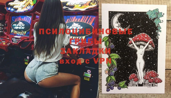 мдпв Богородицк