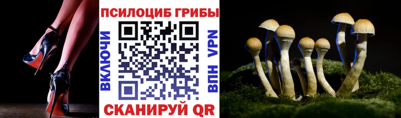 Псилоцибиновые грибы MAGIC MUSHROOMS  закладка  Озёрск 